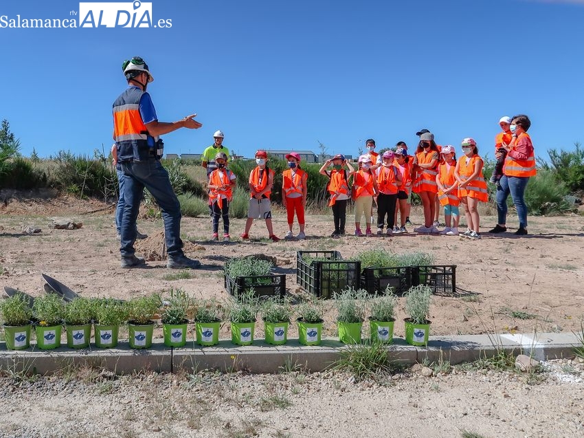 Alumnos del CEIP Pérez Villanueva de Barruecopardo plantan árboles en la mina de Saloro