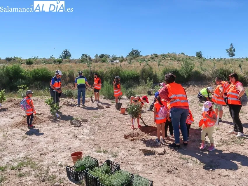 Alumnos del CEIP Pérez Villanueva de Barruecopardo plantan árboles en la mina de Saloro