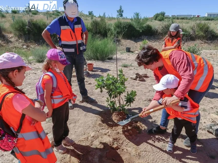 Alumnos del CEIP Pérez Villanueva de Barruecopardo plantan árboles en la mina de Saloro