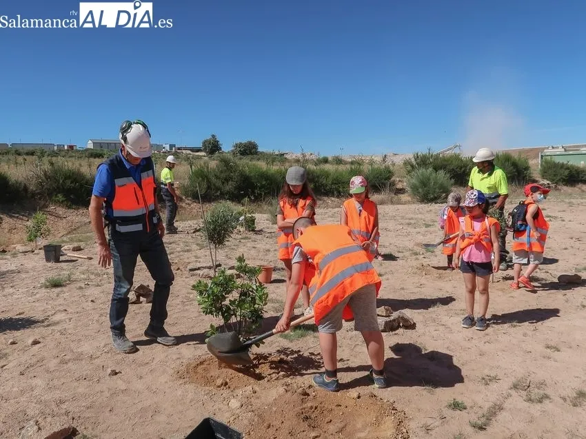 Alumnos del CEIP Pérez Villanueva de Barruecopardo plantan árboles en la mina de Saloro