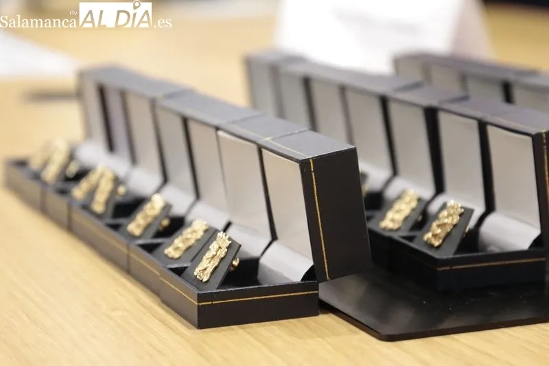 Entrega de medallas y distinciones en el Colegio de Médicos de Salamanca. Foto de David Sañudo