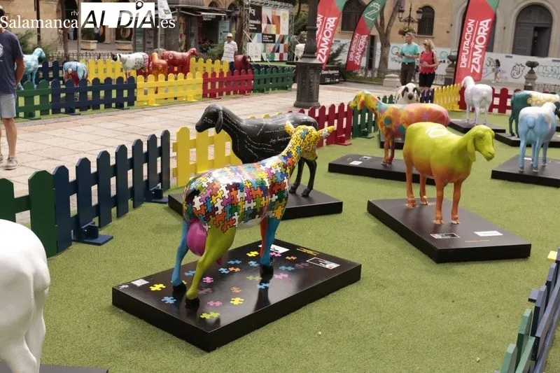 Presentación en la plaza de los Bandos de la Feria Internacional del Queso Fromago. Foto de David Sañudo
