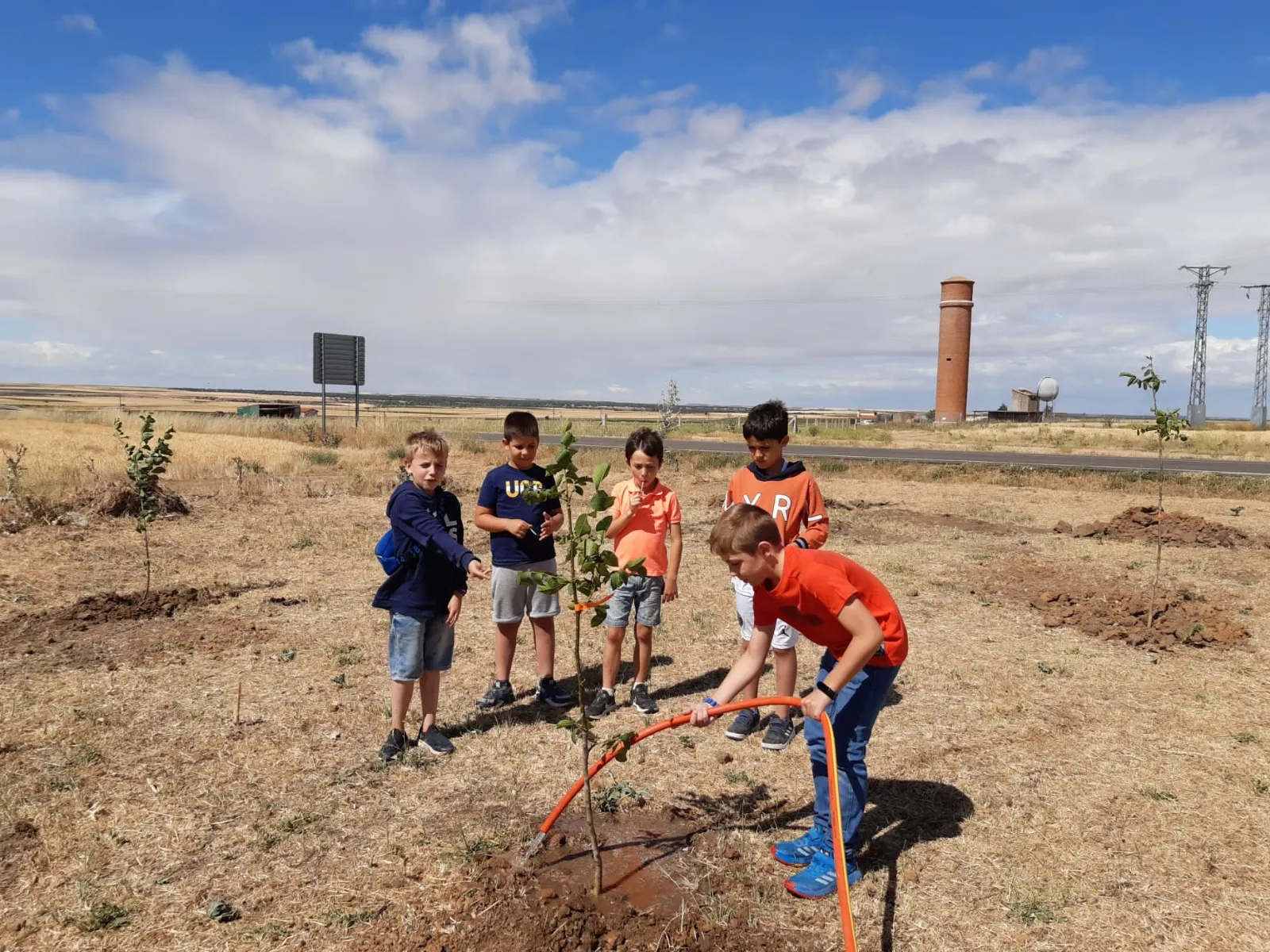 El Pedroso de la Armuña se ha unido al proyecto provincial 'Arbolar'
