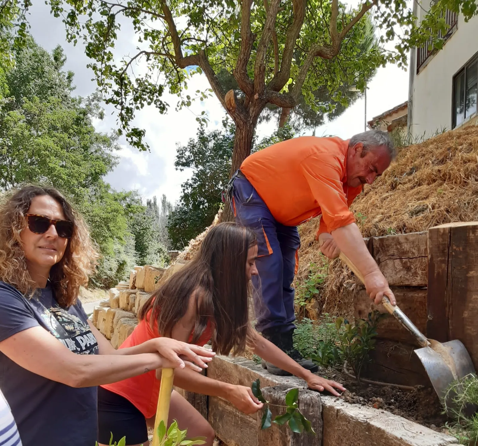 El Pedroso de la Armuña se ha unido al proyecto provincial 'Arbolar'