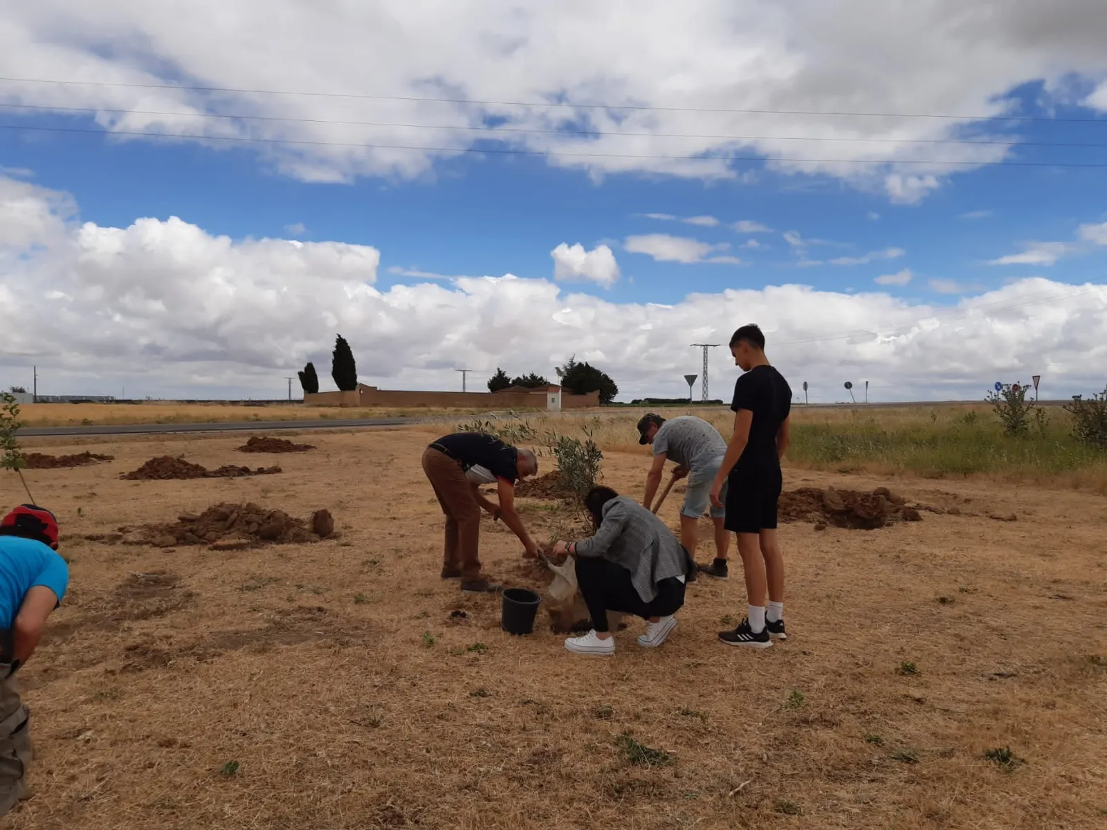 El Pedroso de la Armuña se ha unido al proyecto provincial 'Arbolar'
