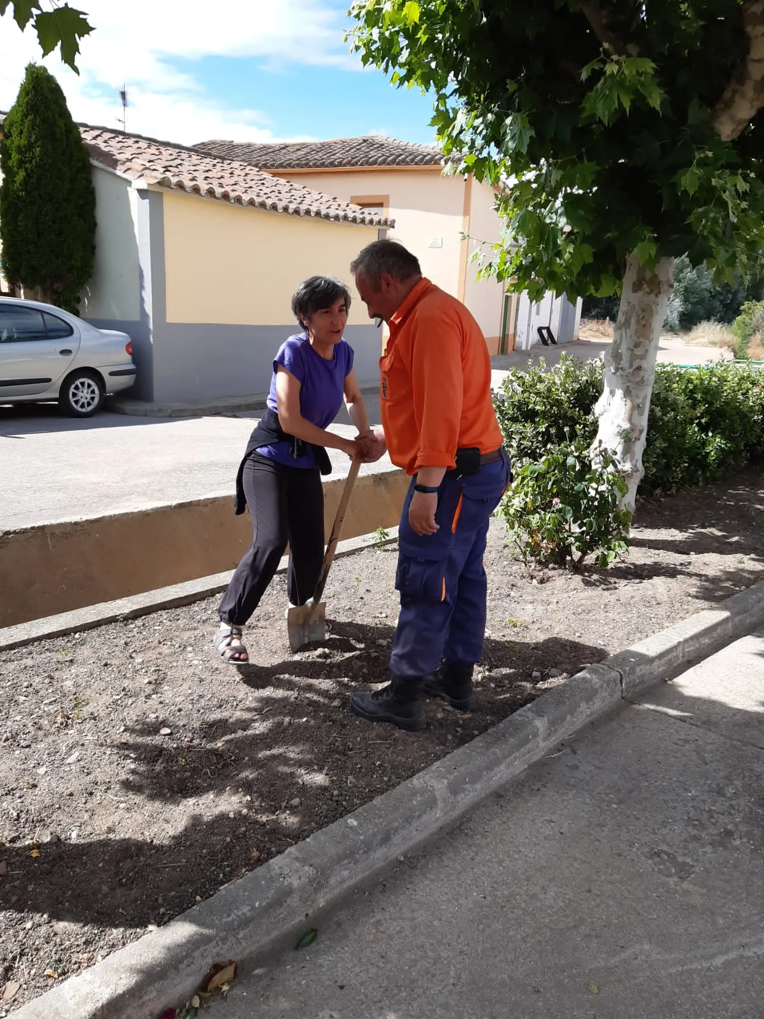 El Pedroso de la Armuña se ha unido al proyecto provincial 'Arbolar'