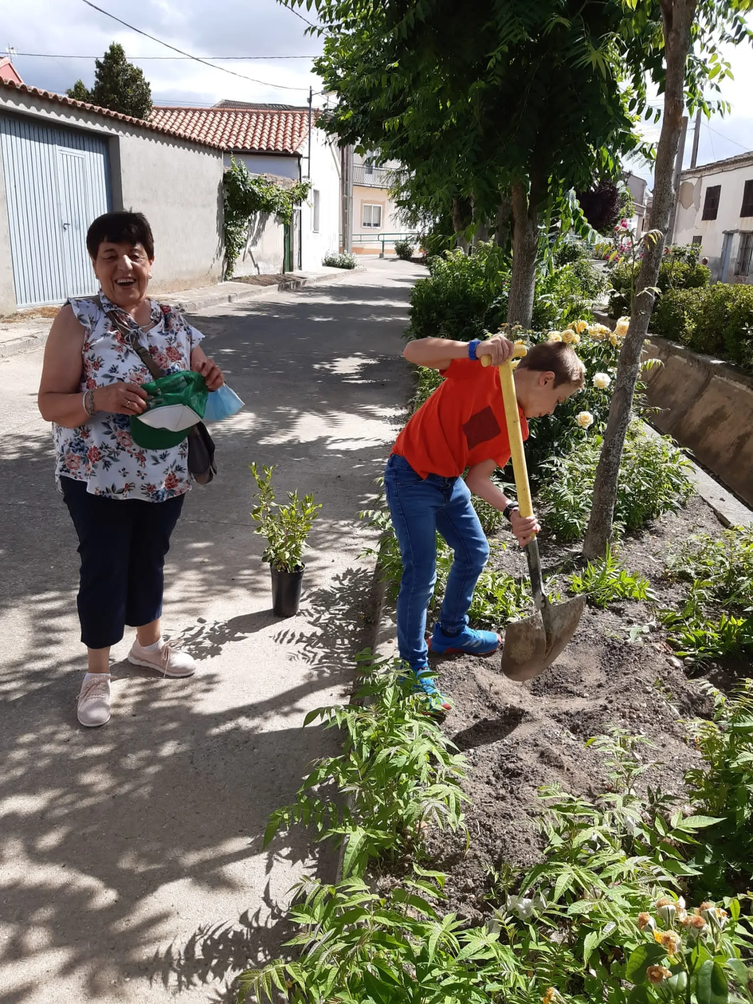 El Pedroso de la Armuña se ha unido al proyecto provincial 'Arbolar'