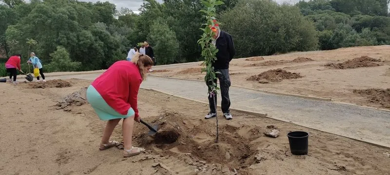 Plantación de árboles frutales en el paseo fluvial de Santa Marta