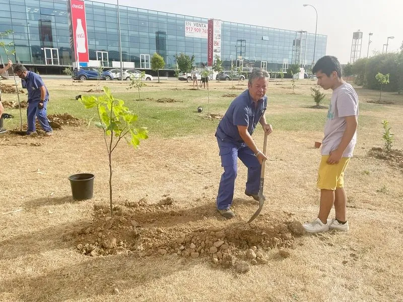 Plantación de árboles en Carbajosa este miércoles