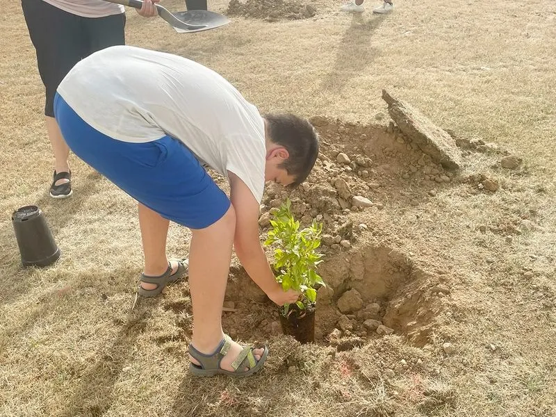 Plantación de árboles en Carbajosa este miércoles