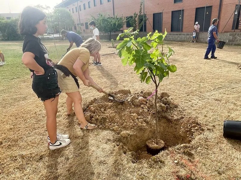 Plantación de árboles en Carbajosa este miércoles