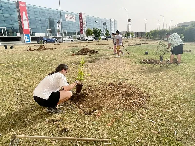 Plantación de árboles en Carbajosa este miércoles