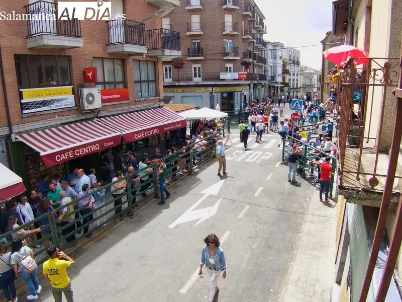 Encierro tradicional de este domingo, último día de las fiestas del Corpus en Vitigudino