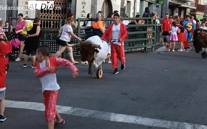 El encierro de carretone hace de prólogo a las fiestas del Corpus de Vitigudino