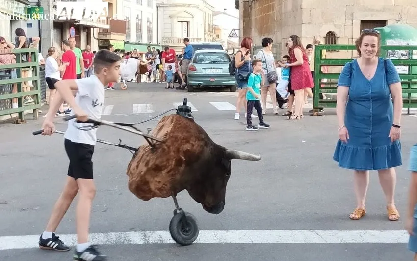 El encierro de carretone hace de prólogo a las fiestas del Corpus de Vitigudino