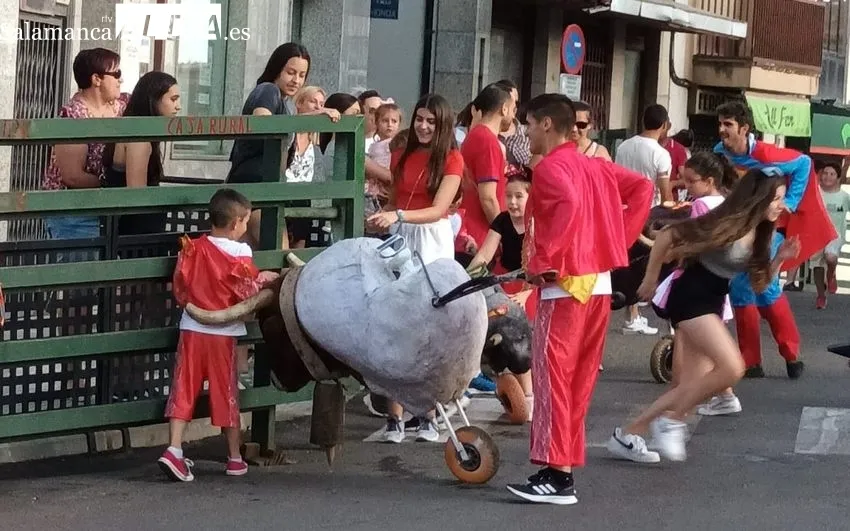 El encierro de carretone hace de prólogo a las fiestas del Corpus de Vitigudino