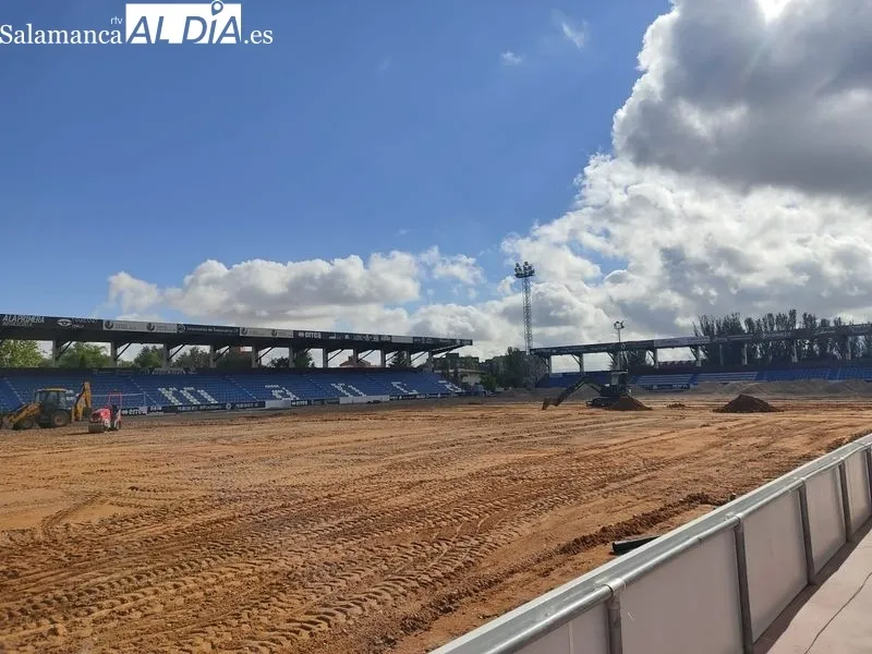 Foto 3 - M&aacute;s color para un Reina Sof&iacute;a que espera a la hierba natural con el avance de las obras
