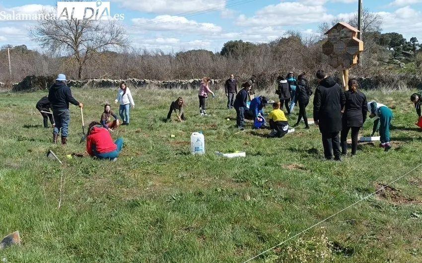 Proyecto 'Vida en las flores' coordinado por la Asociación Peña Gaviota en Villavieja de Yeltes
