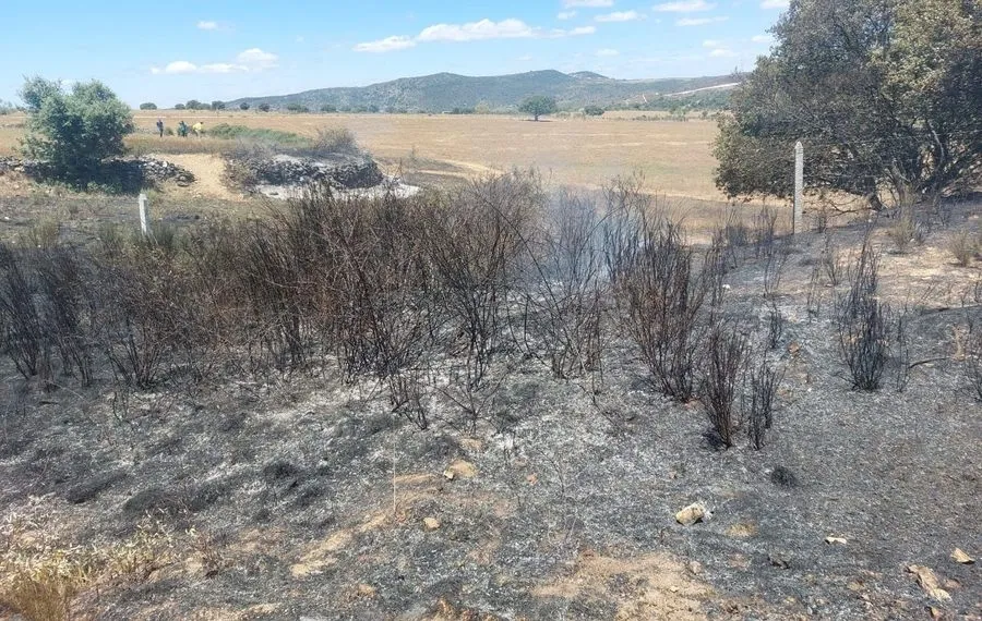 Controlado un incendio declarado en el puerto de La Molinera