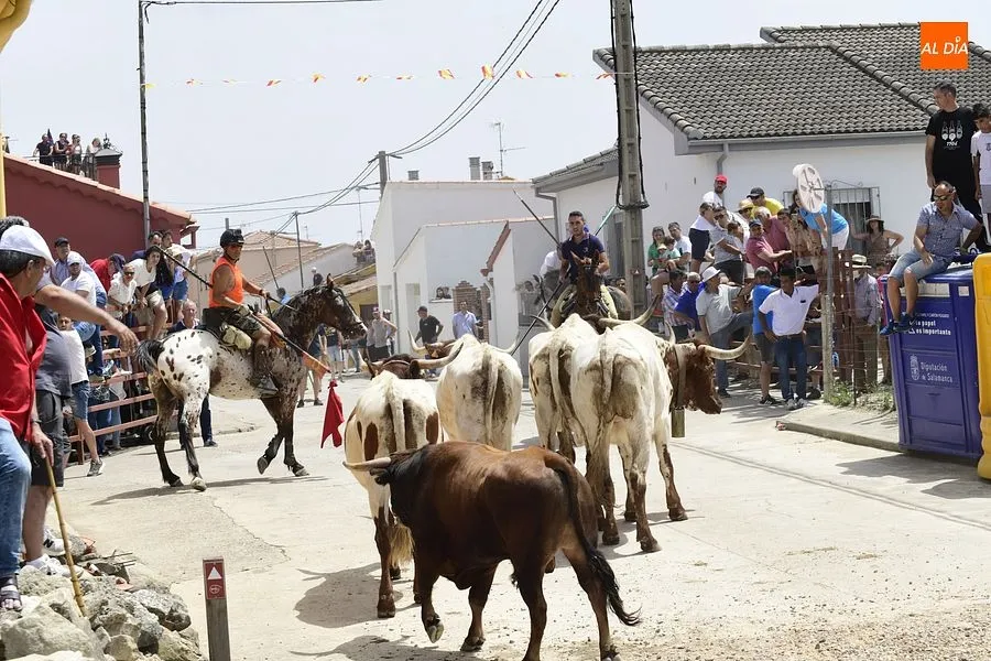 EL encierro a caballo es el espectáculo estrella de las fiestas de San Antonio/ Rep.Gráfico: Adrián M. Pastor