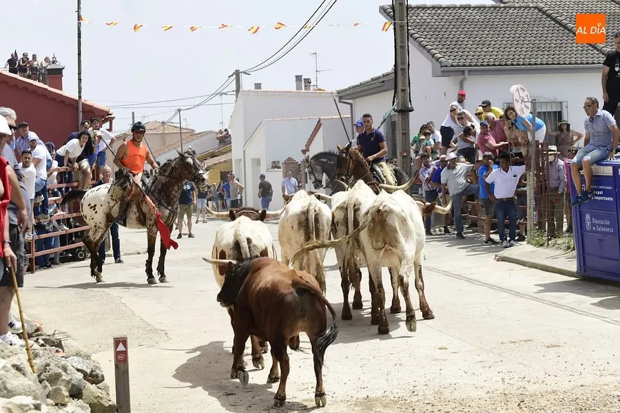 EL encierro a caballo es el espectáculo estrella de las fiestas de San Antonio/ Rep.Gráfico: Adrián M. Pastor