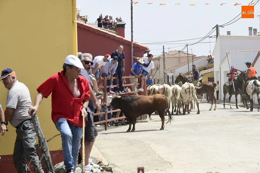EL encierro a caballo es el espectáculo estrella de las fiestas de San Antonio/ Rep.Gráfico: Adrián M. Pastor