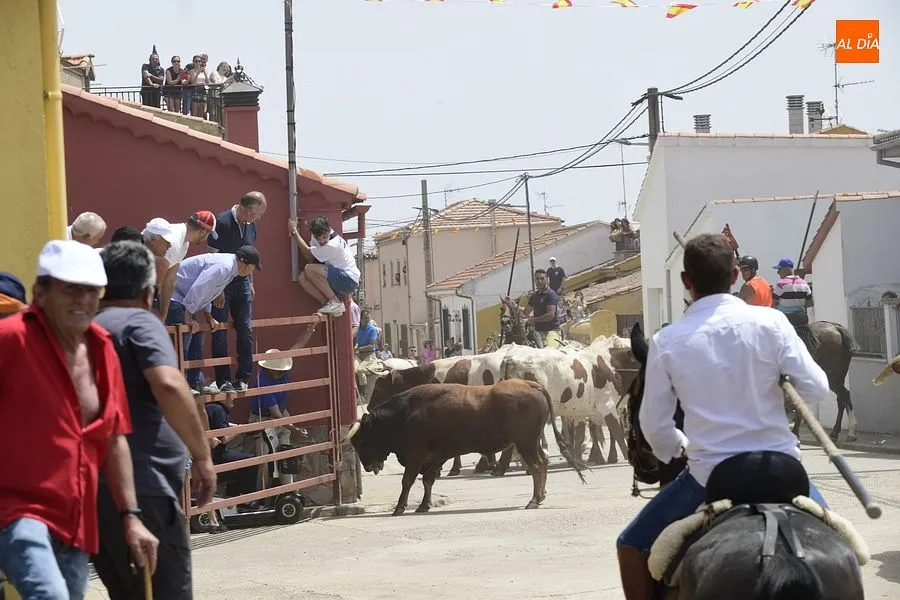 EL encierro a caballo es el espectáculo estrella de las fiestas de San Antonio/ Rep.Gráfico: Adrián M. Pastor