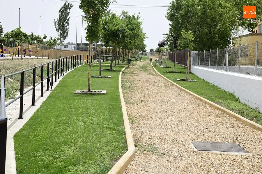 Zona ajardinad en la zona de las 