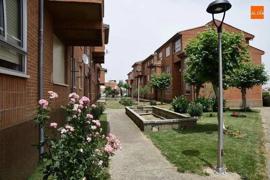 Zona ajardinad en la zona de las 