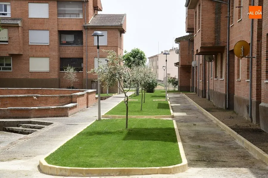 Zona ajardinad en la zona de las 