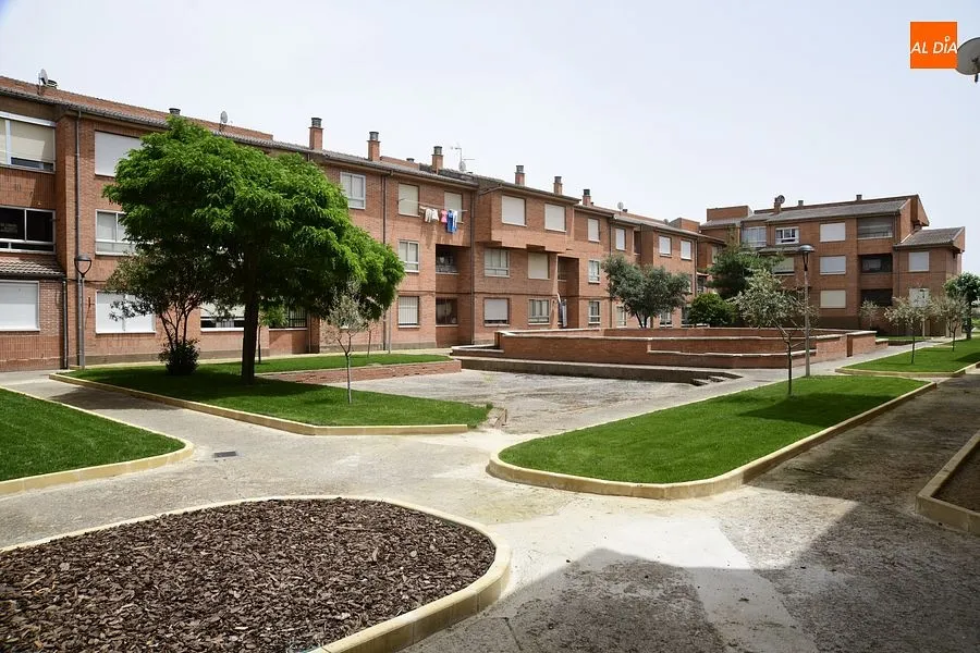 Zona ajardinad en la zona de las 