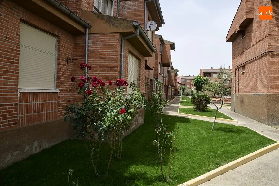 Zona ajardinad en la zona de las 
