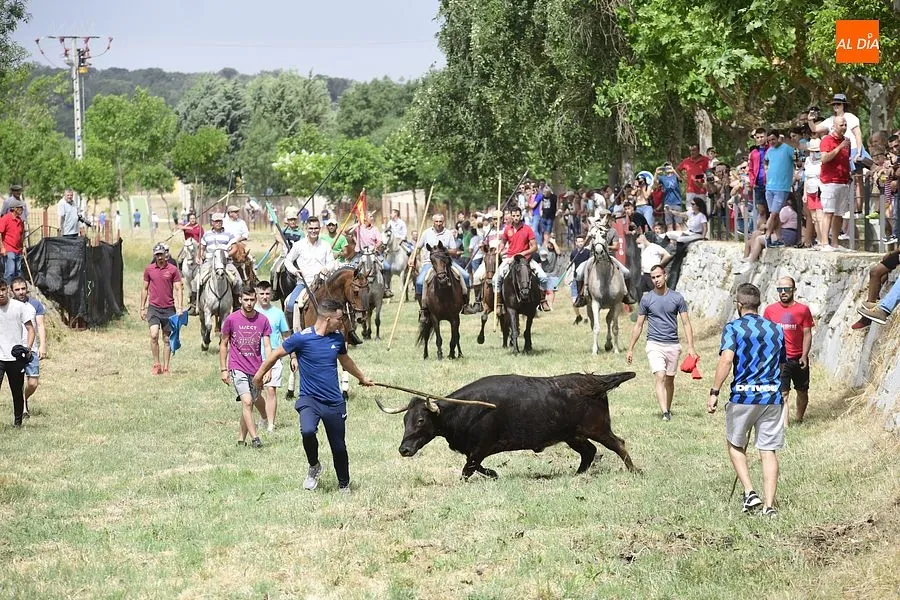 Momento del encierro a caballo en Sancti Spíritus/Rep. Gráfico: Adrián M.Pastor