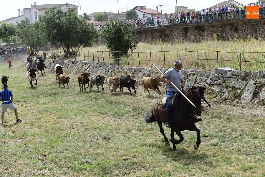 Momento del encierro a caballo en Sancti Spíritus/Rep. Gráfico: Adrián M.Pastor