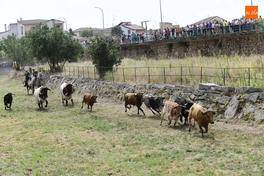 Momento del encierro a caballo en Sancti Spíritus/Rep. Gráfico: Adrián M.Pastor