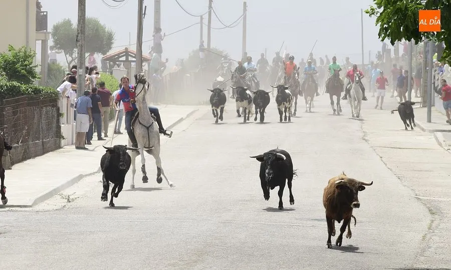 Uno de los momentos del encierro a caballo/ Rep.Gráfico: Adrián M. Pastor