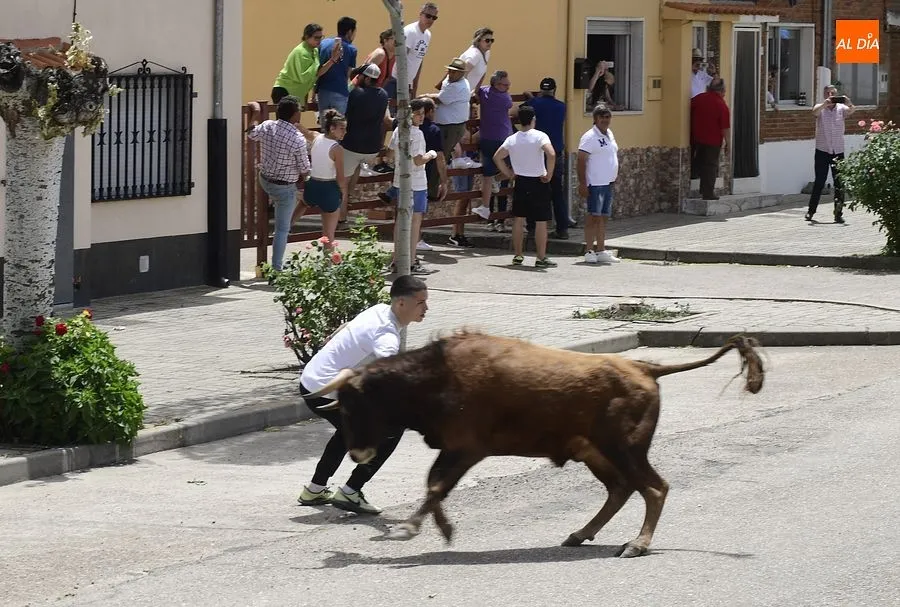 Uno de los momentos del encierro a caballo/ Rep.Gráfico: Adrián M. Pastor