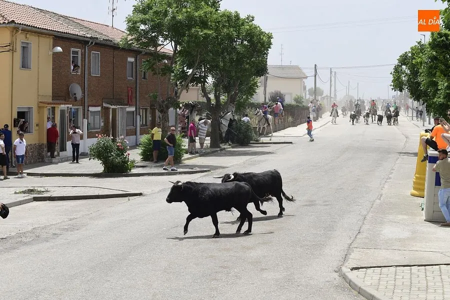 Uno de los momentos del encierro a caballo/ Rep.Gráfico: Adrián M. Pastor