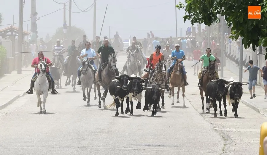 Uno de los momentos del encierro a caballo/ Rep.Gráfico: Adrián M. Pastor