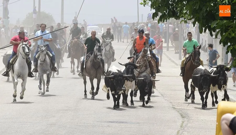 Uno de los momentos del encierro a caballo/ Rep.Gráfico: Adrián M. Pastor
