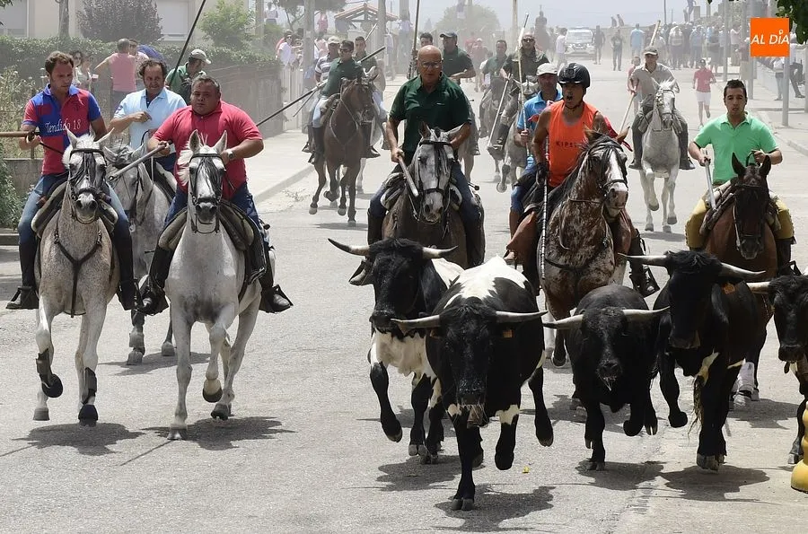 Uno de los momentos del encierro a caballo/ Rep.Gráfico: Adrián M. Pastor