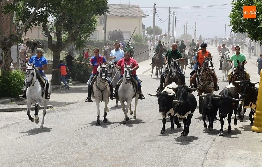 Uno de los momentos del encierro a caballo/ Rep.Gráfico: Adrián M. Pastor