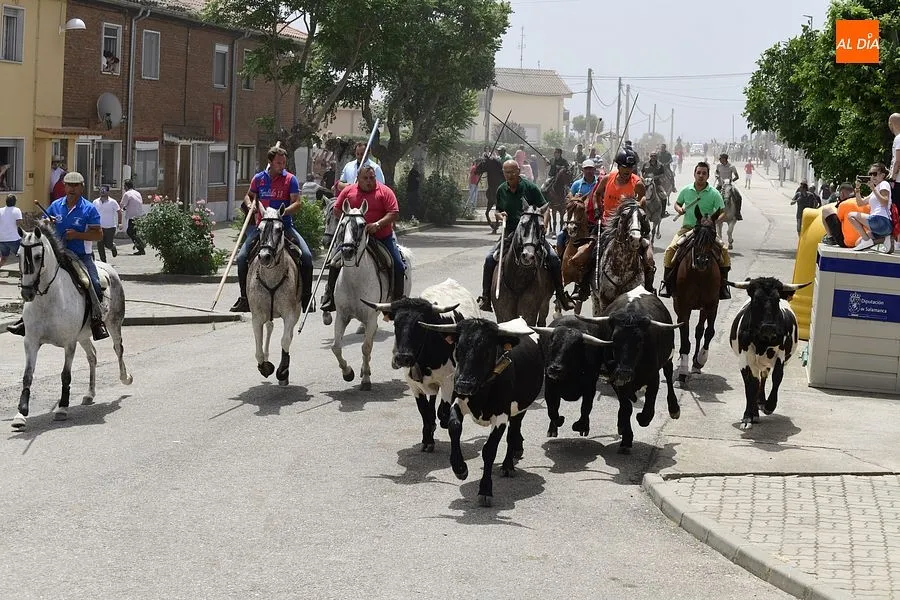 Uno de los momentos del encierro a caballo/ Rep.Gráfico: Adrián M. Pastor