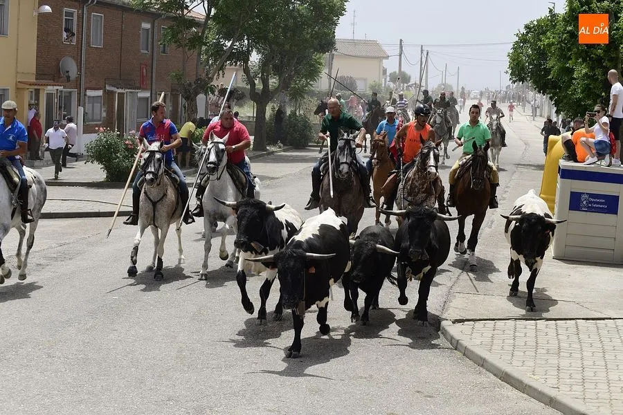 Uno de los momentos del encierro a caballo/ Rep.Gráfico: Adrián M. Pastor