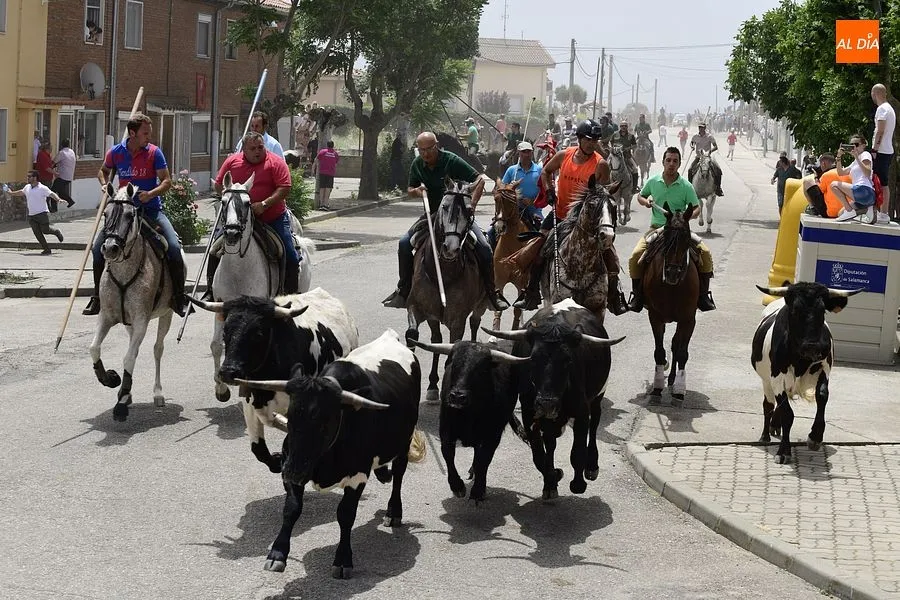 Uno de los momentos del encierro a caballo/ Rep.Gráfico: Adrián M. Pastor