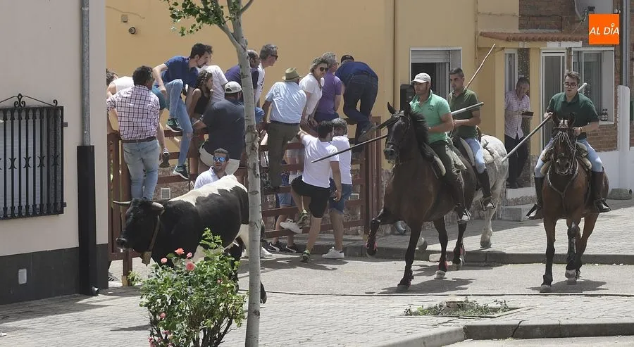Uno de los momentos del encierro a caballo/ Rep.Gráfico: Adrián M. Pastor