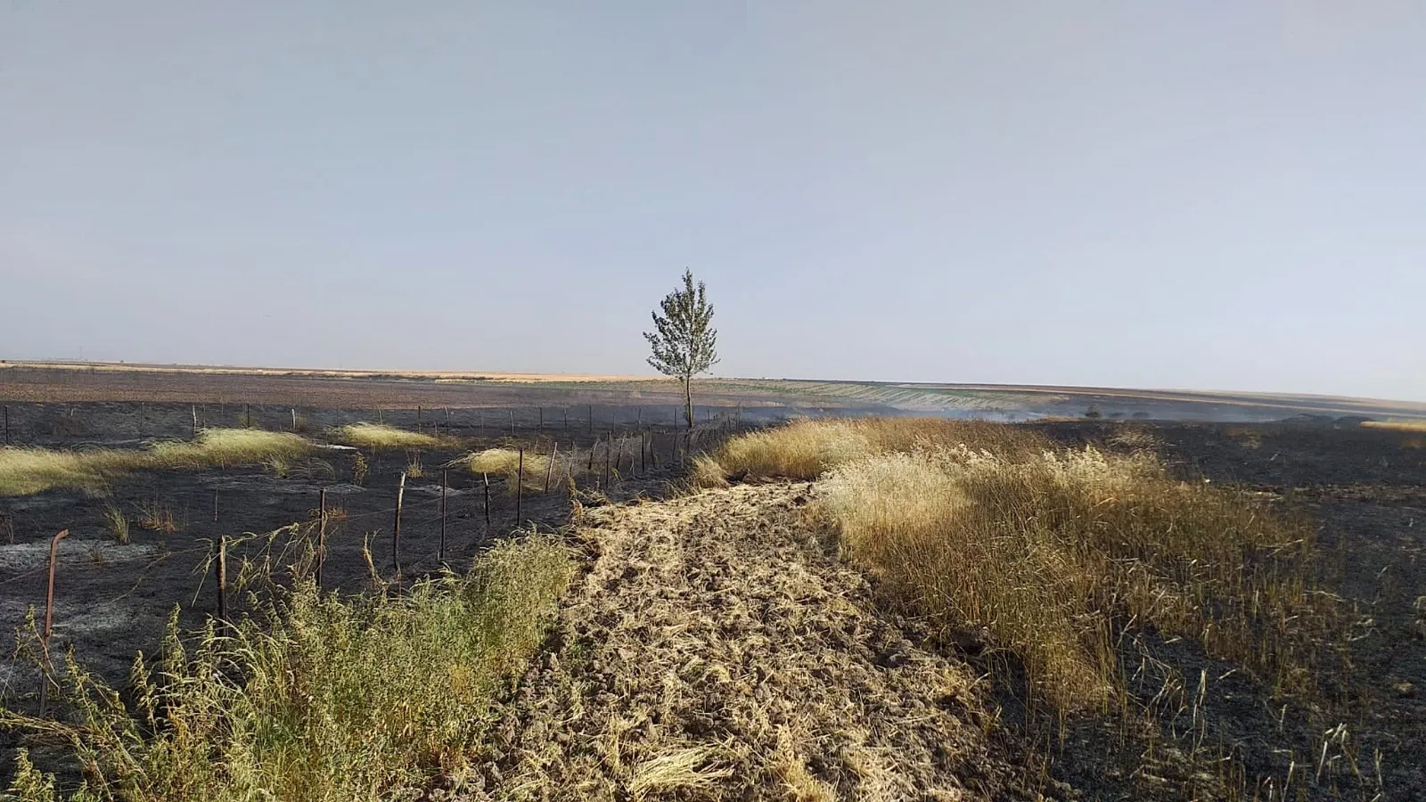 Los Bomberos tratan de sofocar un gran incendio en una tierra de pasto en Pedrosillo de Alba