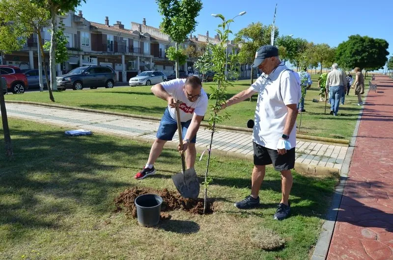 Plantación de árboles en Villares de la Reina
