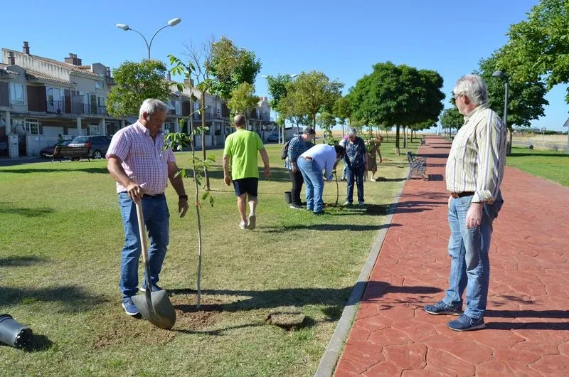 Plantación de árboles en Villares de la Reina