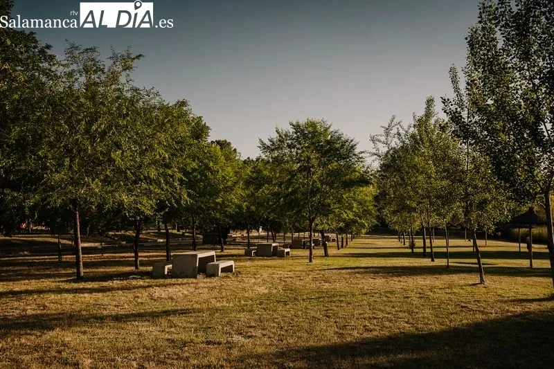 Foto 7 - Un nuevo comienzo para el Camping Municipal Alba de Tormes